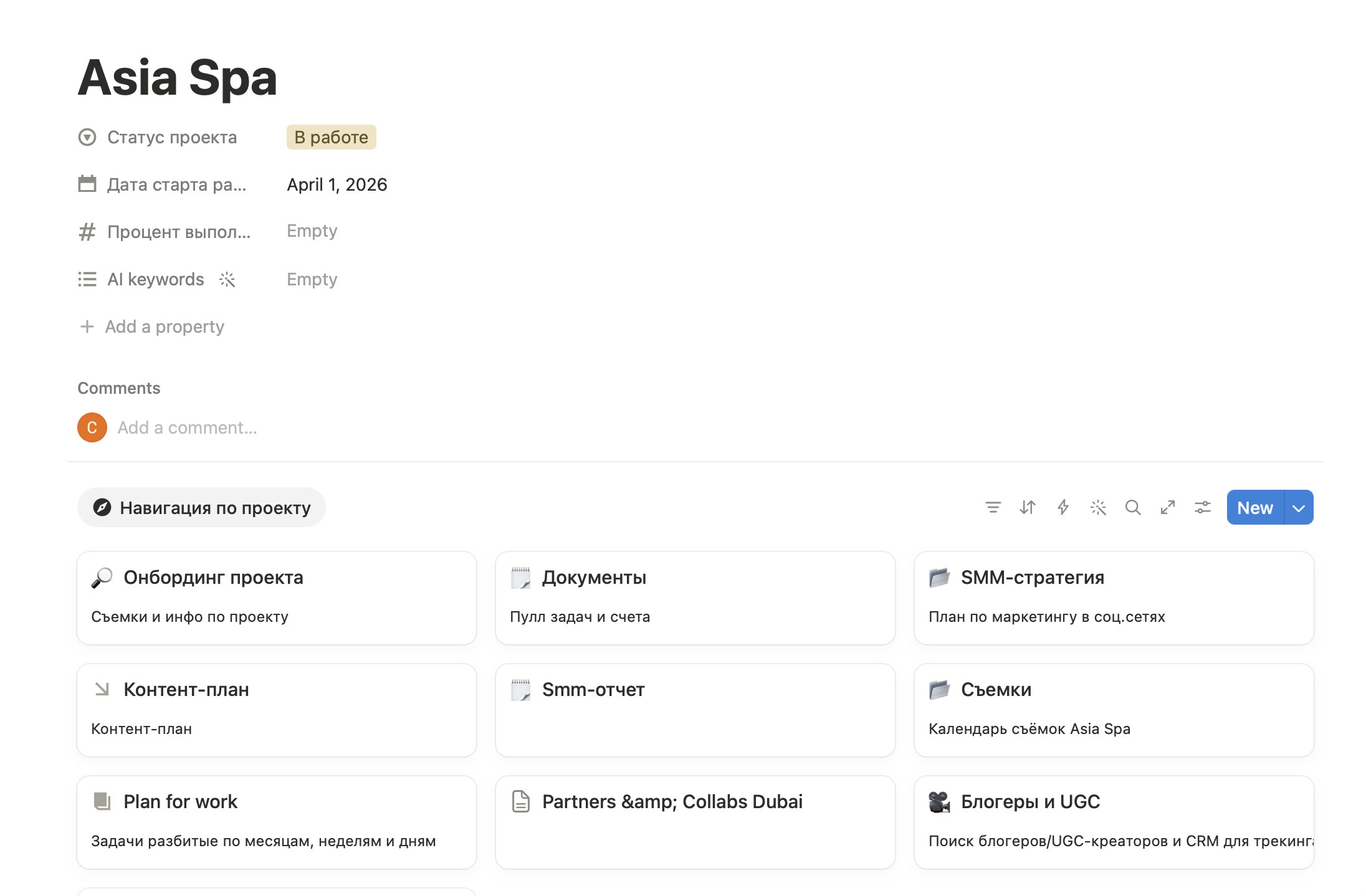 Asia Spa — пространство проекта в Notion
