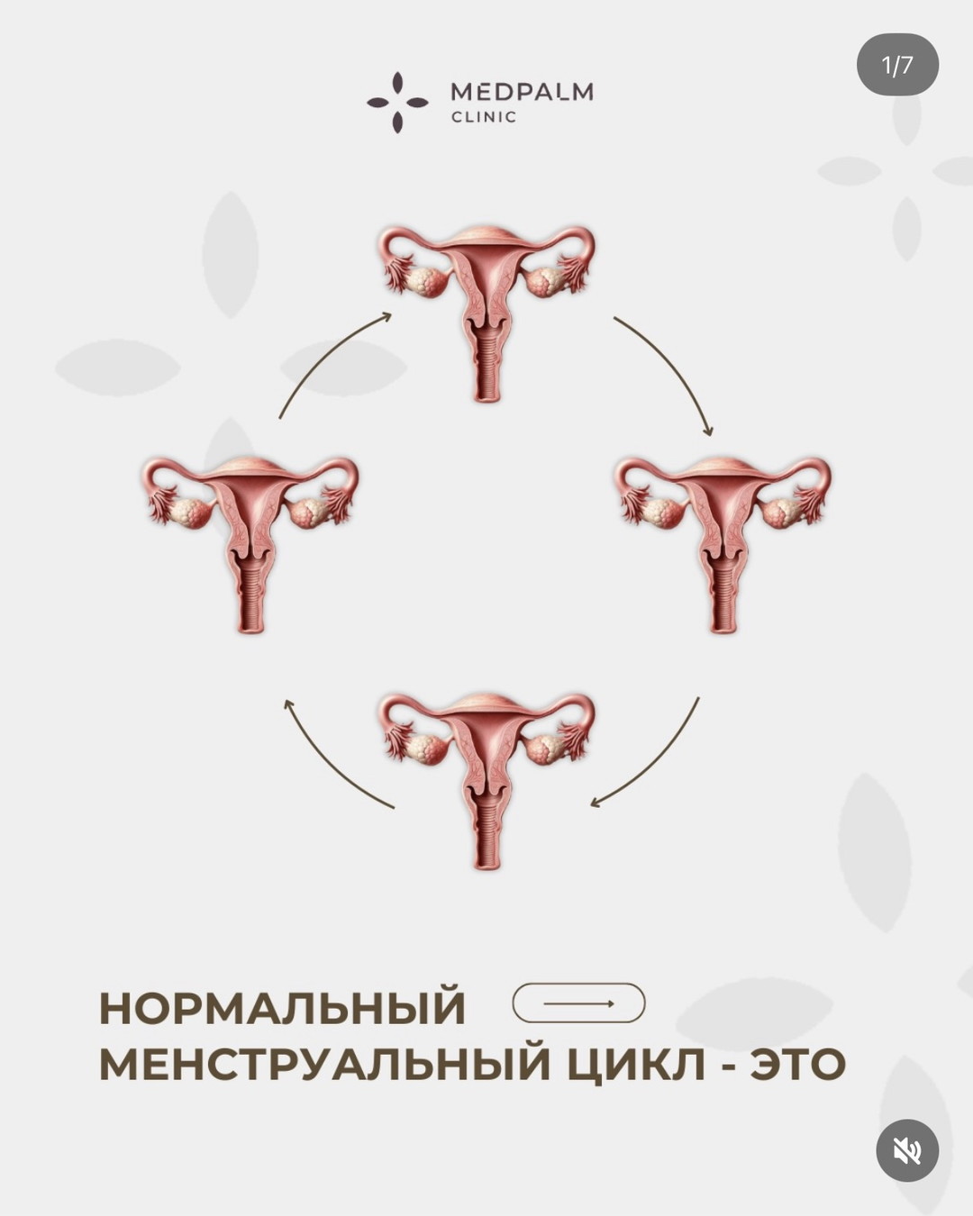 Карусель: что такое нормальный менструальный цикл