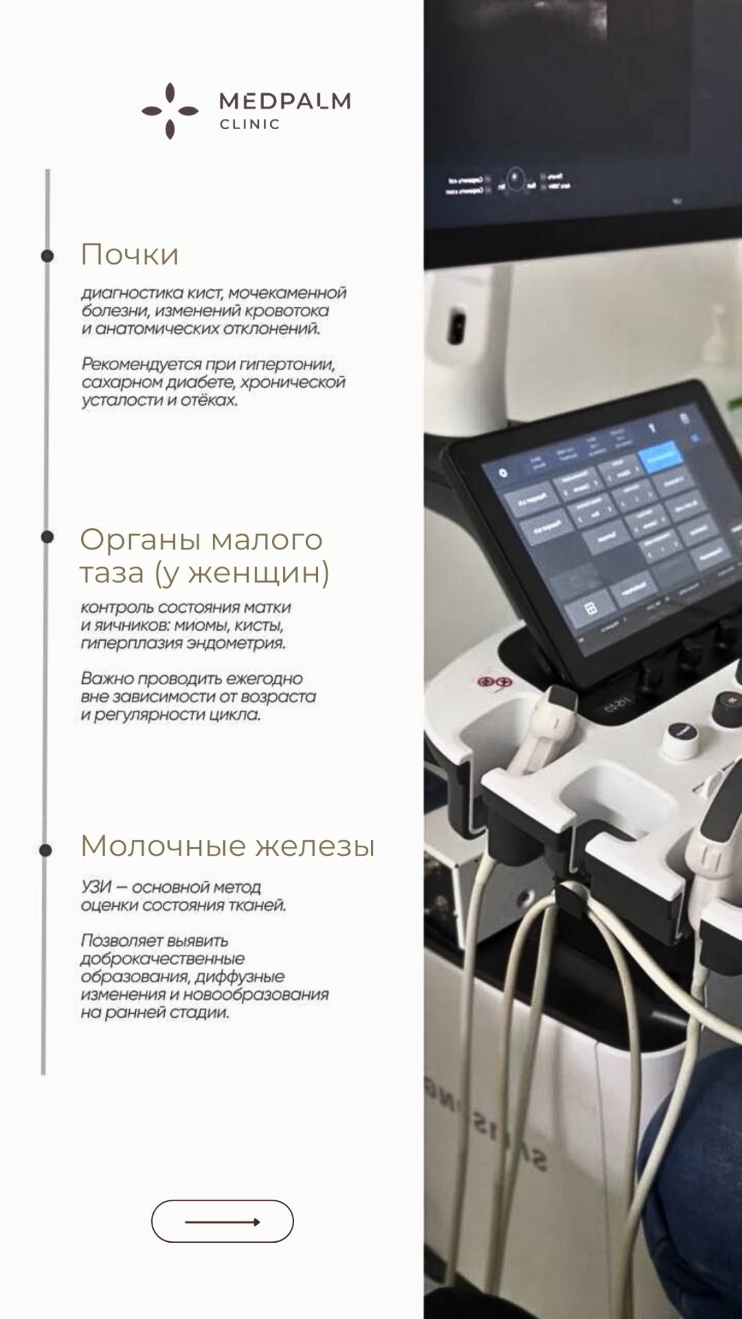 Сторис: почки, малый таз, молочные железы