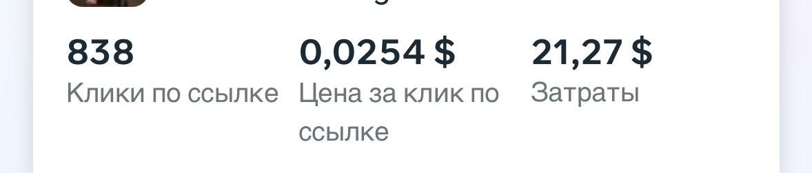 Wild Pixel — кампания 1: 838 кликов по $0,0254